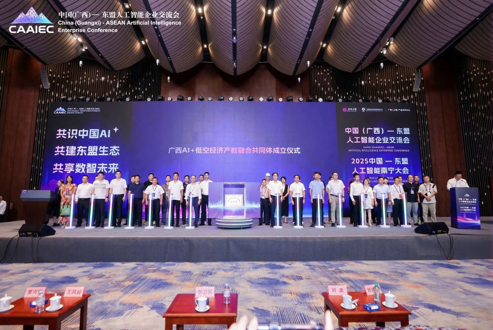 2025中国—东盟人工智能南宁大会圆满落幕 · 原文图片 28