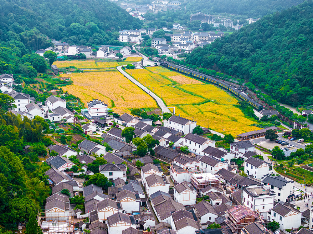 浙江舟山:农文旅融合发展 百里文廊助力乡村振兴_腾讯新闻