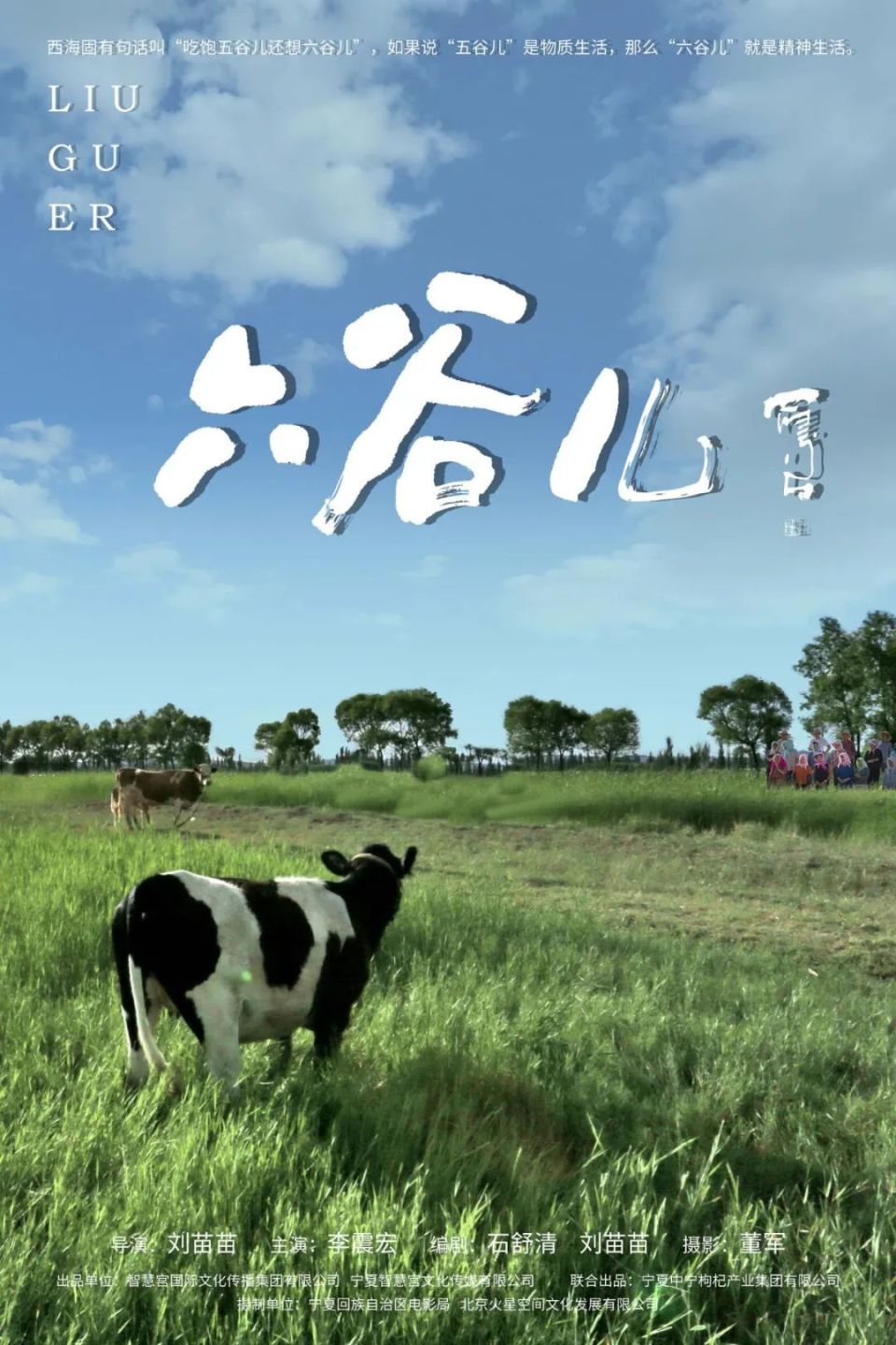 海报丨唱响乡村振兴华美乐章  电影《六谷儿》宁夏首映