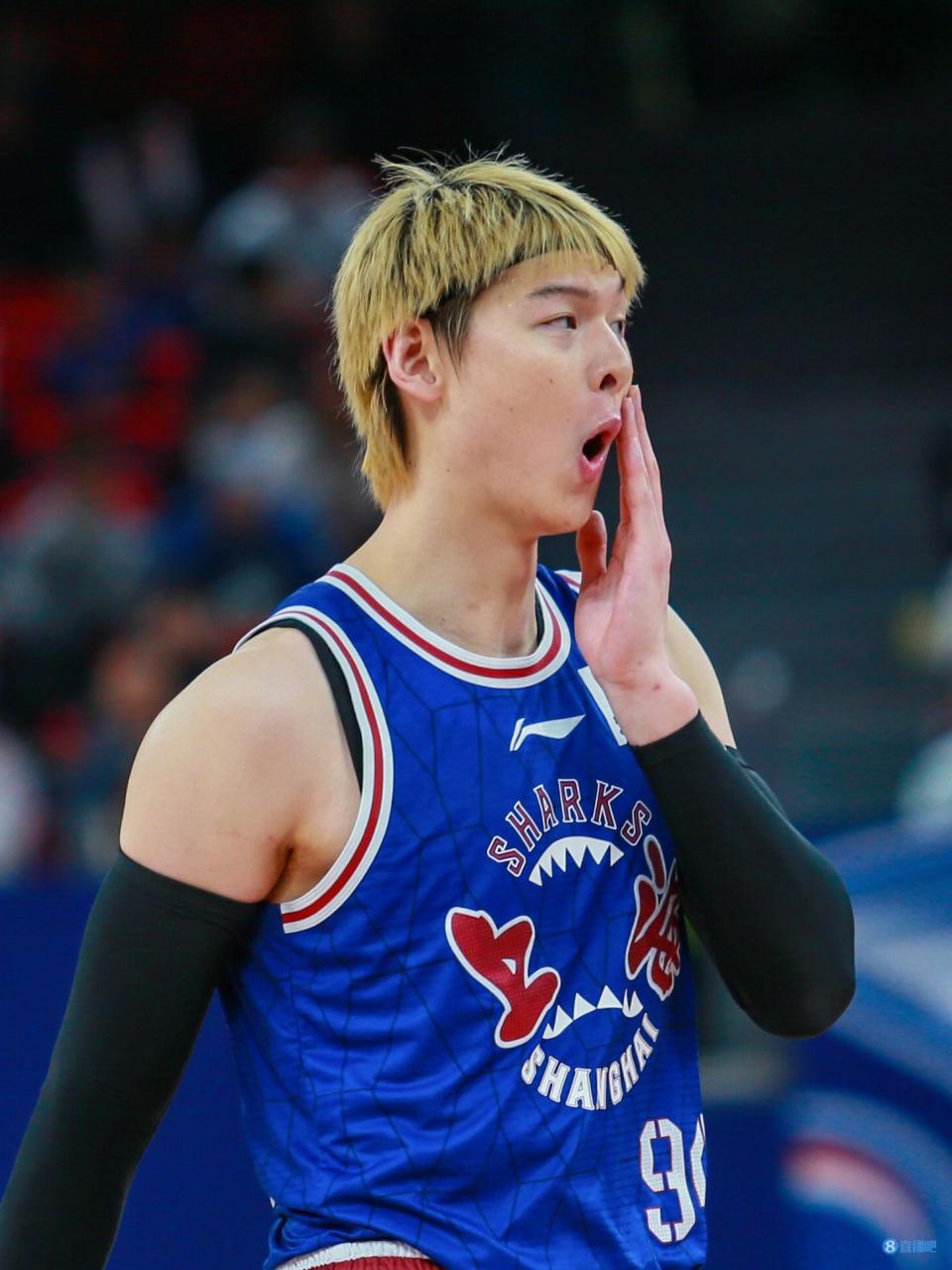 王哲林半场11中8砍下17分5板