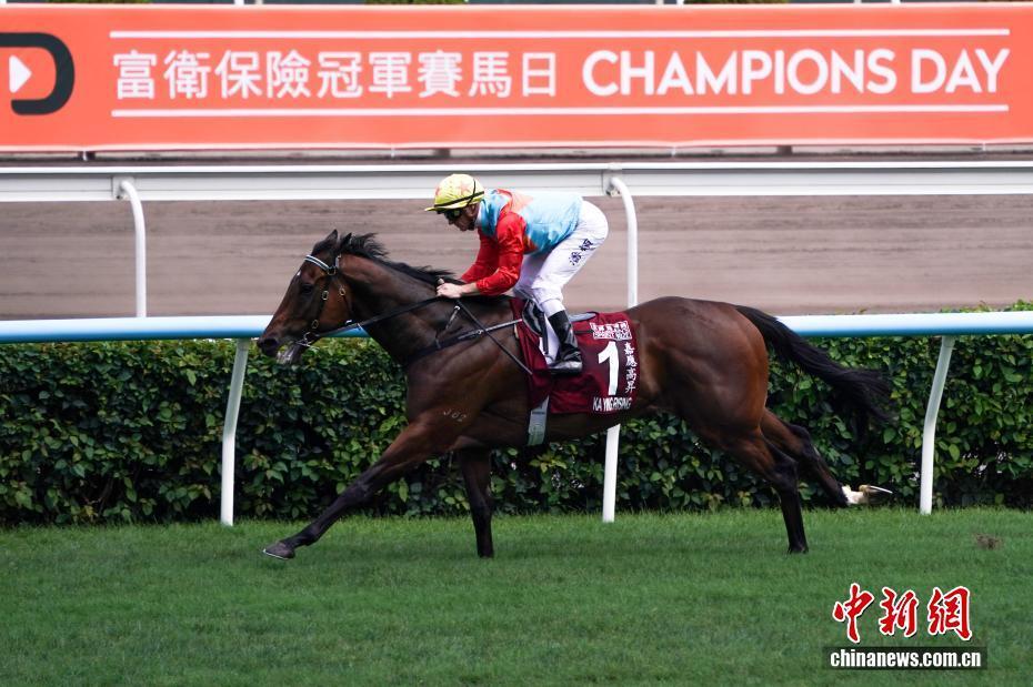 香港赛马“嘉应高升”缔造20场连胜纪录_腾讯新闻