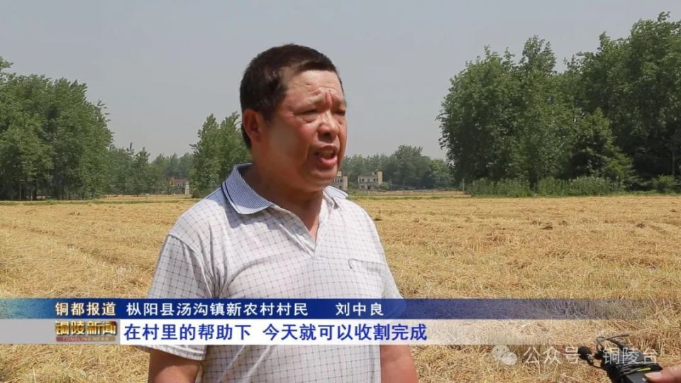 一大早,4台收割机正开足马力在村民刘中良的麦田里来回穿梭,100多亩