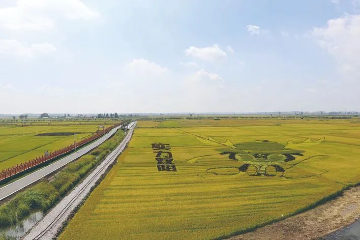 齐家镇上演"春田新事"_腾讯新闻