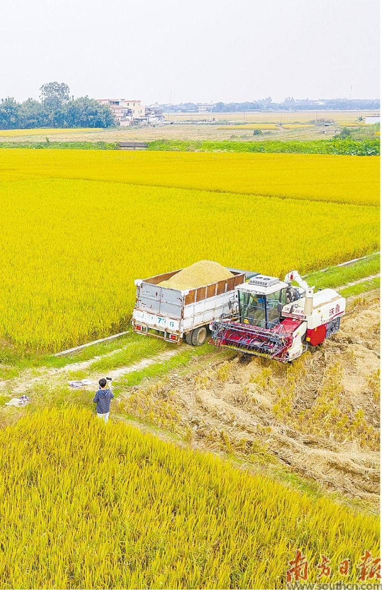 省农业农村厅:着力推动乡村全面振兴