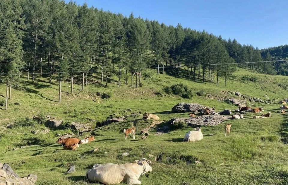 山河过处有酒家——吕梁攻略