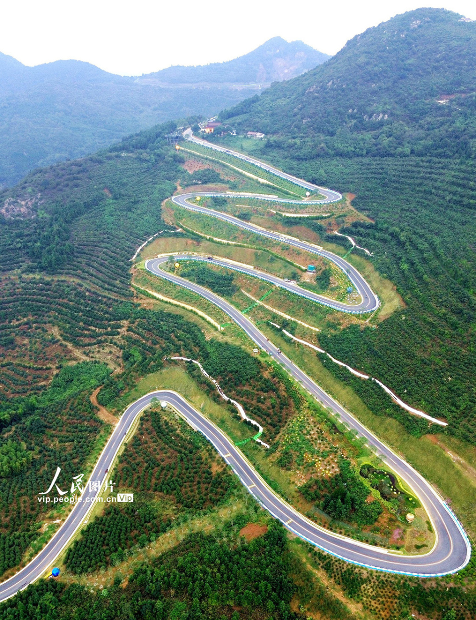 电影《山路弯弯》图片