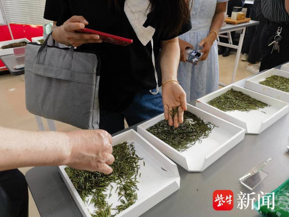 茅山长青茶叶价格（茅山长青茶叶价格礼盒2024） 茅山长青茶叶代价
（茅山长青茶叶代价
礼盒2024）《茅山长青茶叶价格礼盒》 茶叶资讯