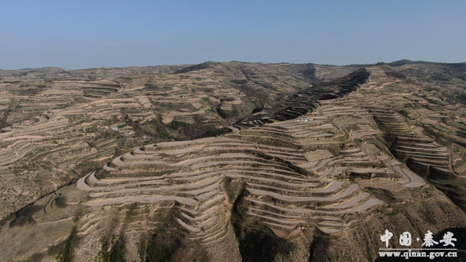 安伏镇位峰梁军山流域玉米大豆带状种植示范点位于位峰村,杨峡村高