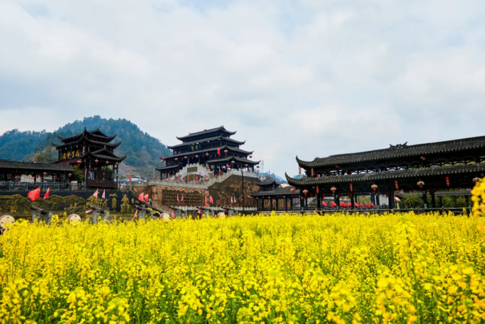 湘西墨戎苗寨乡村游有限责任公司总经理龙飞,在古丈县默戎镇龙鼻嘴村