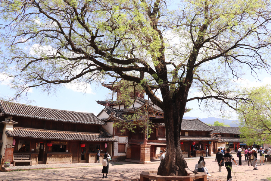 云南沙溪:优质民宿扮靓悠悠古镇