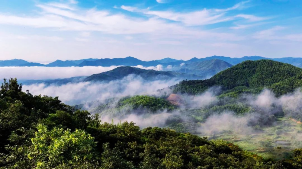 体验一场"森"呼吸之旅感受又见山风的惬意走在茂林修竹间进入石佛山