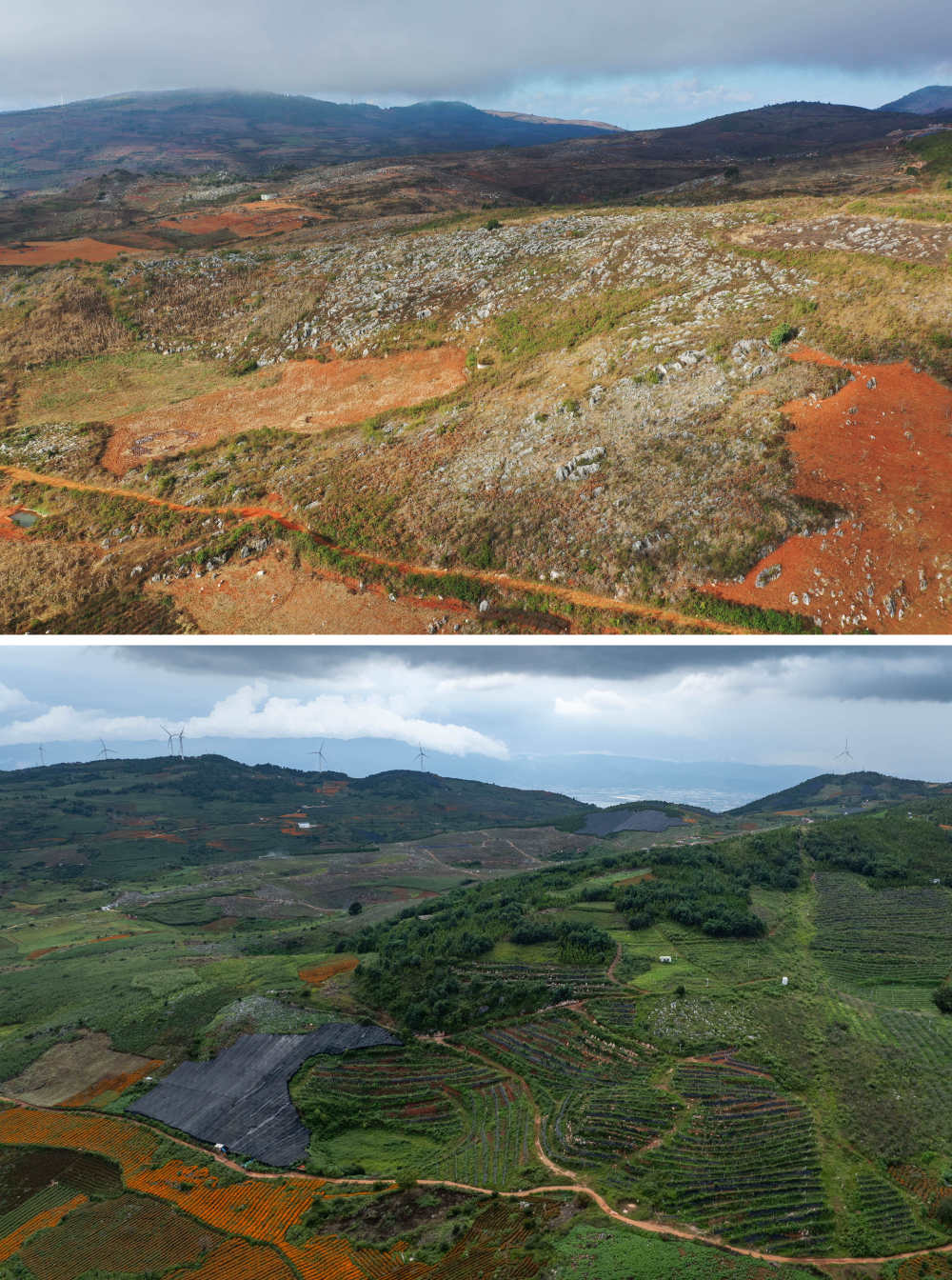 拼版照片,上图为:2019年1月拍摄的云南省红河州蒙自市西北勒乡一景(无