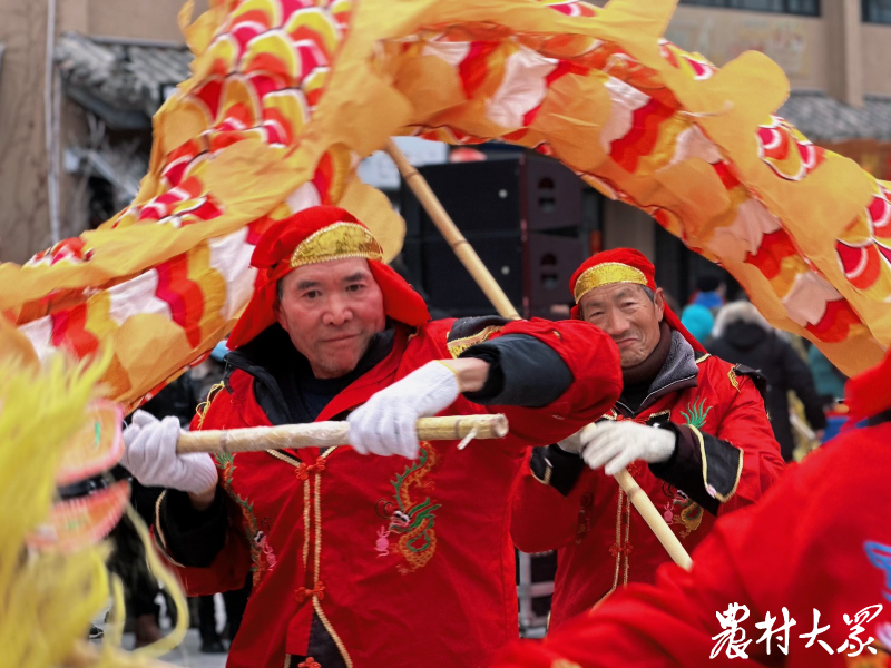 二月二半百学艺逾古稀坚守舞龙二十载