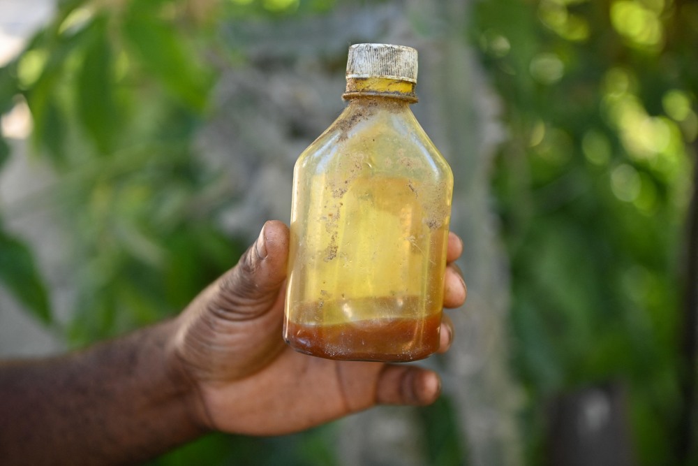 (外代一线)海地:收获香根草_腾讯新闻