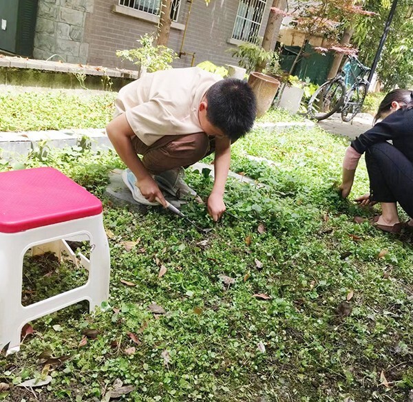 郫都三中成功举办"小手拉大手·共建美好家园"劳动公益活动