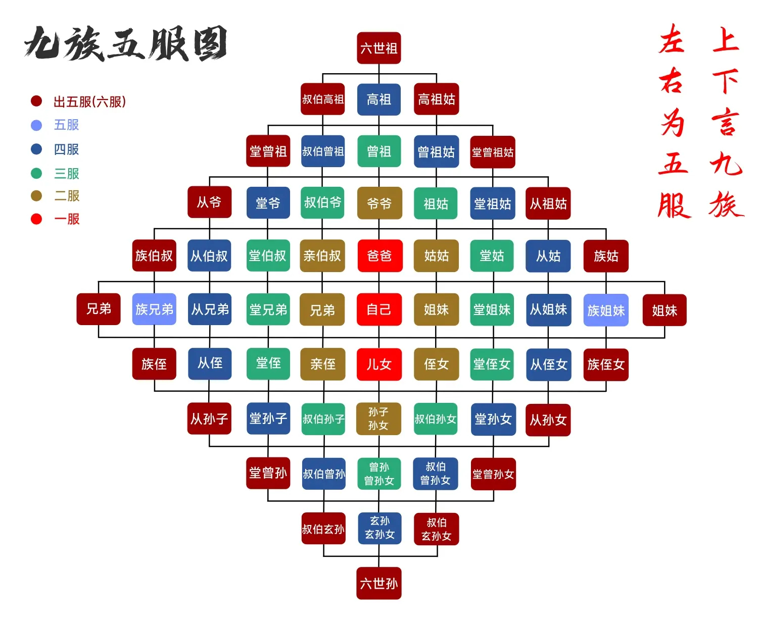 九族五服图 - 亲戚关系计算器