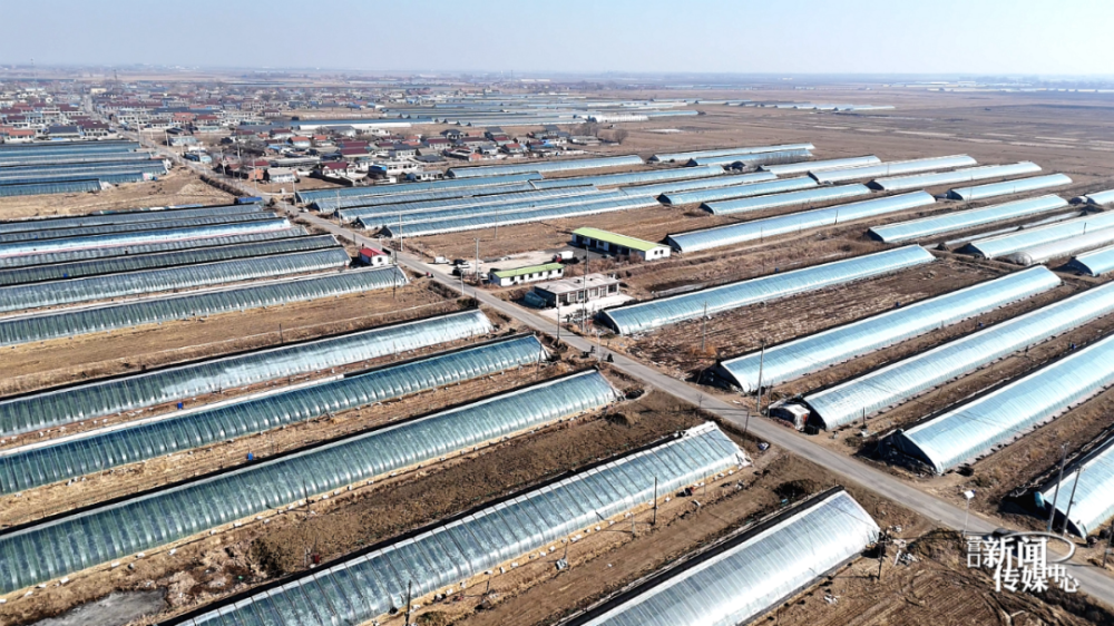 "新质生产力"绘就乡村振兴新画卷——营口科技赋能