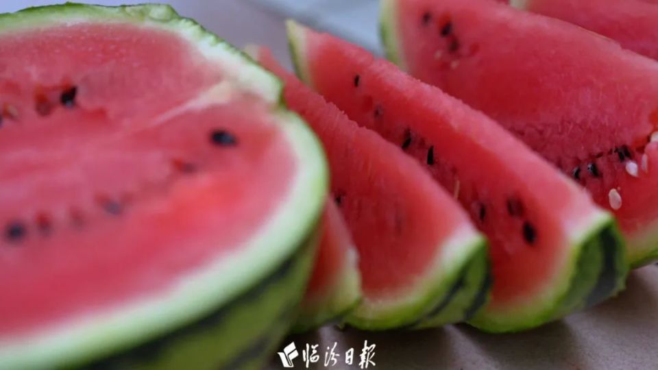 市媒聚焦丨哇!临汾这里的西瓜真甜