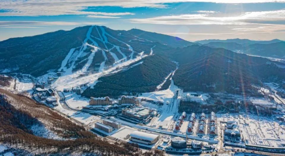 北极渡鸦滑雪图片图片