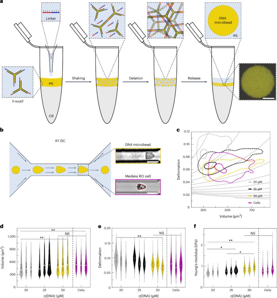水凝胶，最新Nature Nanotechnology！_腾讯新闻