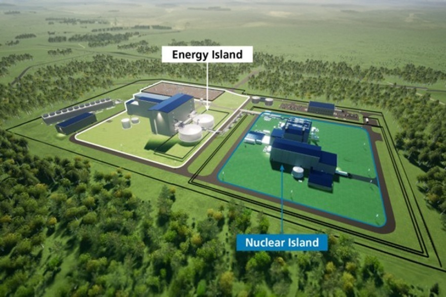 美国新建核电站图片
