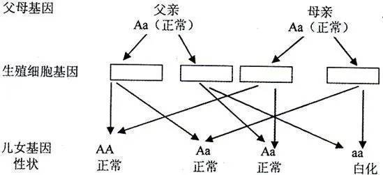 遗传方式有哪些 腾讯网