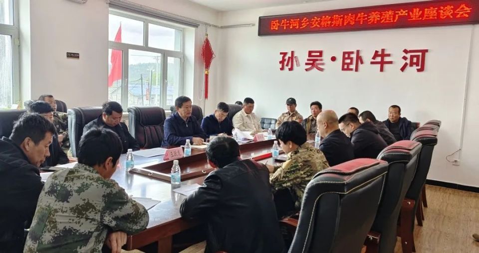 『乡村振兴』孙吴县卧牛河乡安格斯肉牛养殖产业座谈会召开