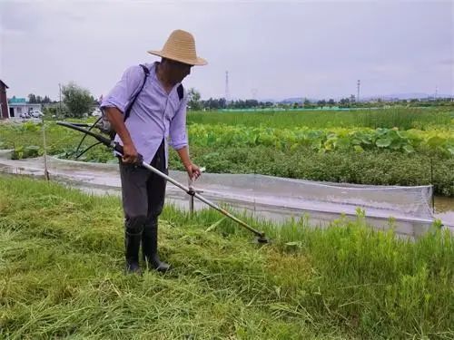 秦岭懂绿