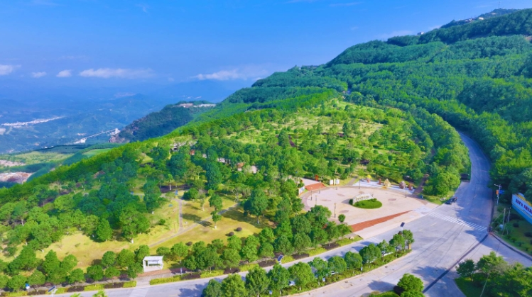 2008年紫金山矿山公园植物园建设前面貌.