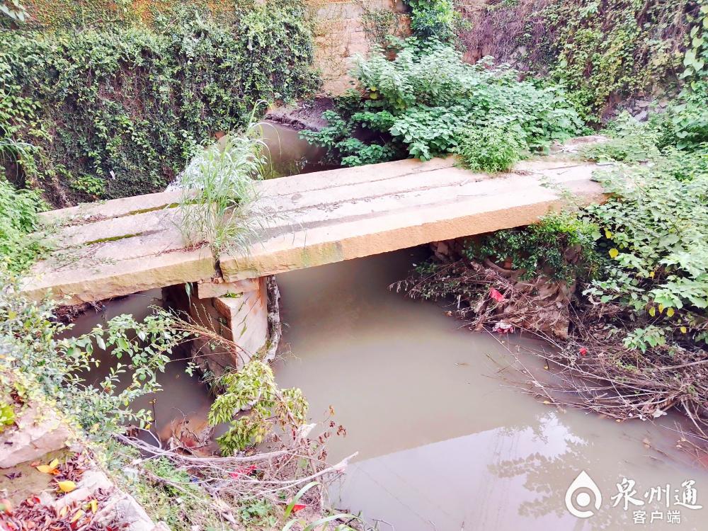 温陵志丨南安那些逐渐淡出视野的古桥