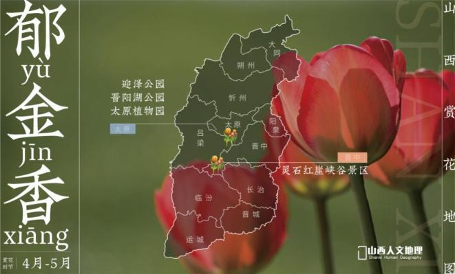 土地上最独特的风景不用踏足海外太原迎泽公园的多色花海灵石红崖峡谷