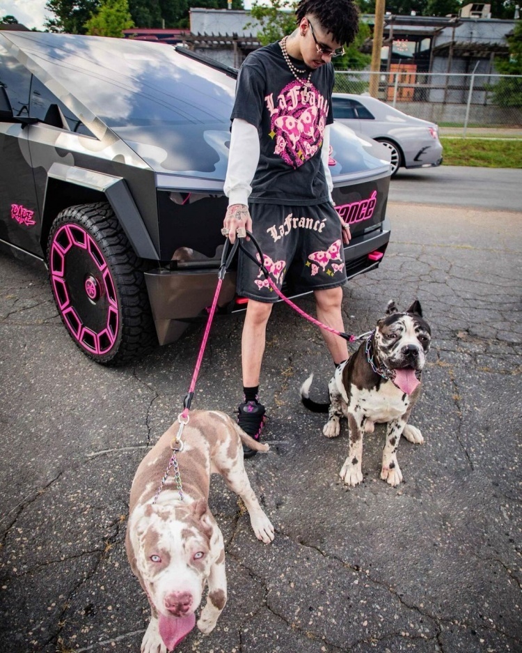 拉梅洛-鲍尔ins晒赛博皮卡 宠物狗 以及自己代言的品牌lafrance07