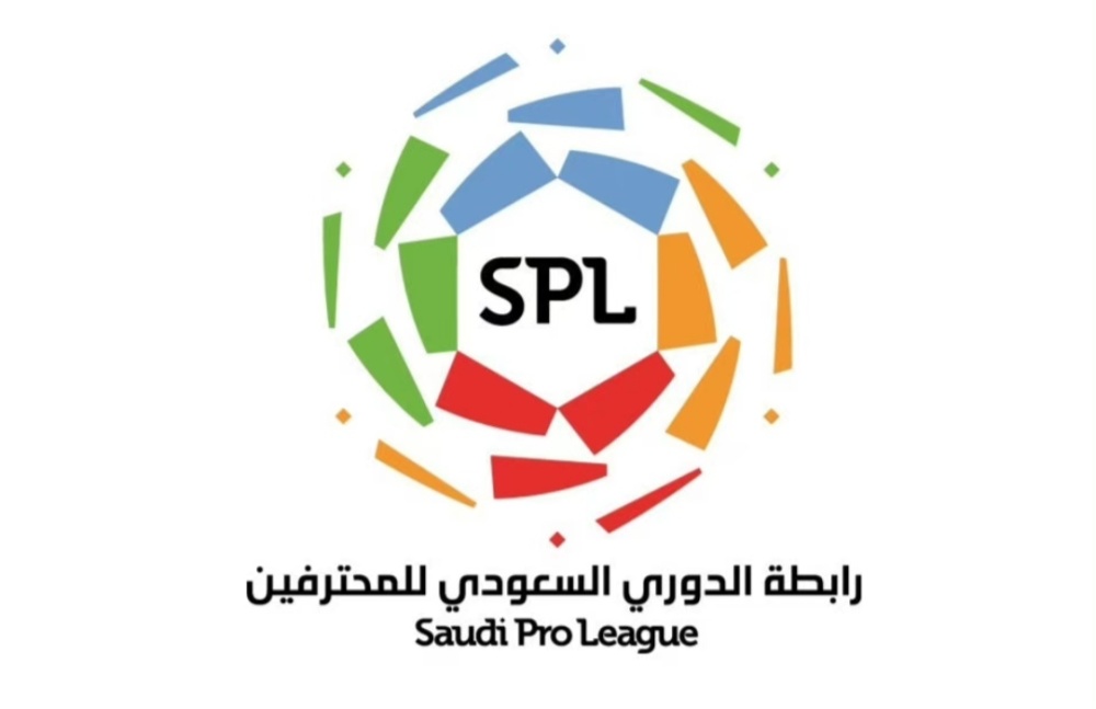 明星收入排行_中国男明星片酬榜单.(2)