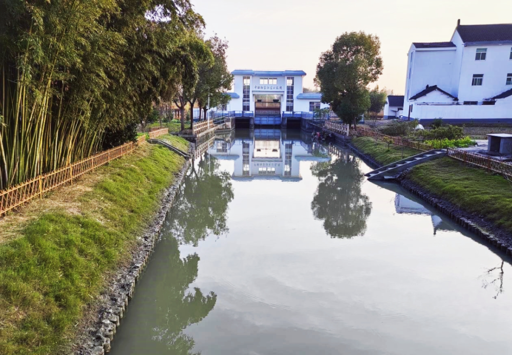 优秀案例95丨乡村振兴绘新景 美丽乡村入画来——金山区廊下镇中联