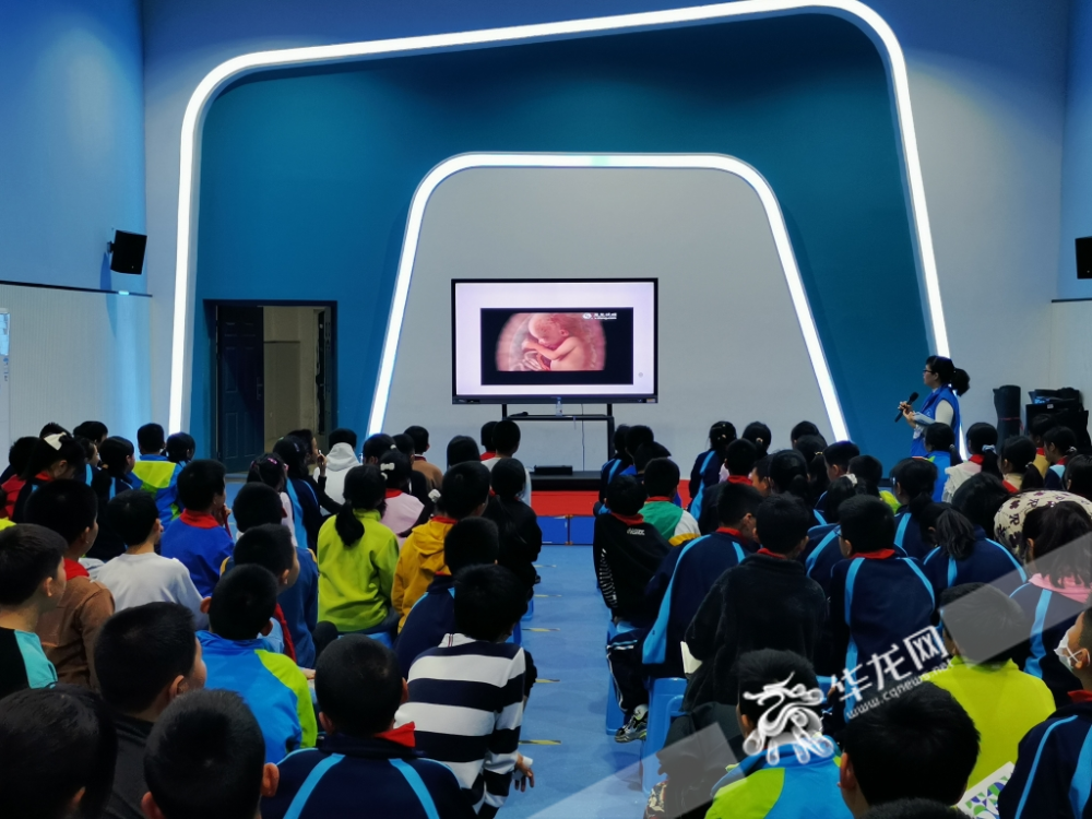 视频给小学生的这堂心理健康讲座先从生命诞生说起