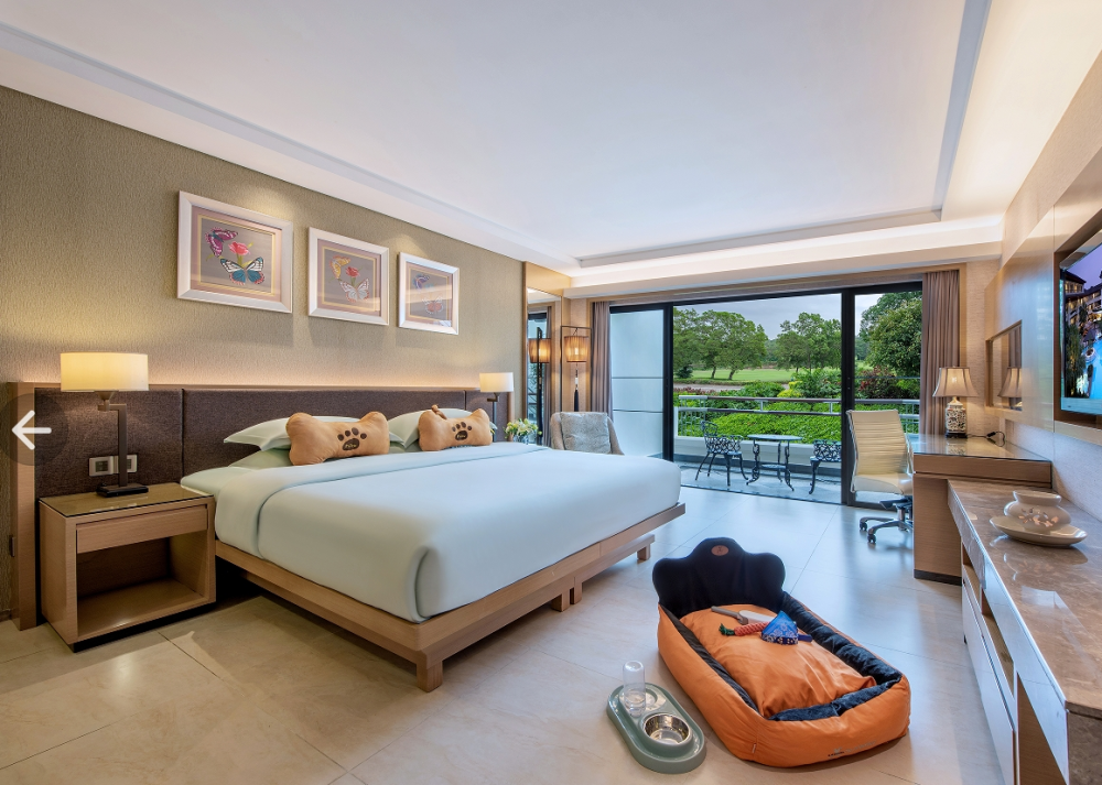 5·29爱犬日,解锁深圳宠物友好空间