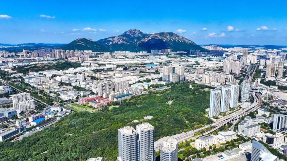 金普新区:培育新质生产力,增强发展新动能