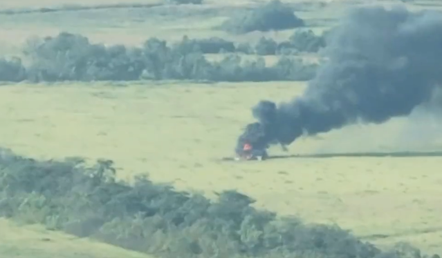 崩坏3武器排行_凤凰资讯_资讯_凤凰网(2)