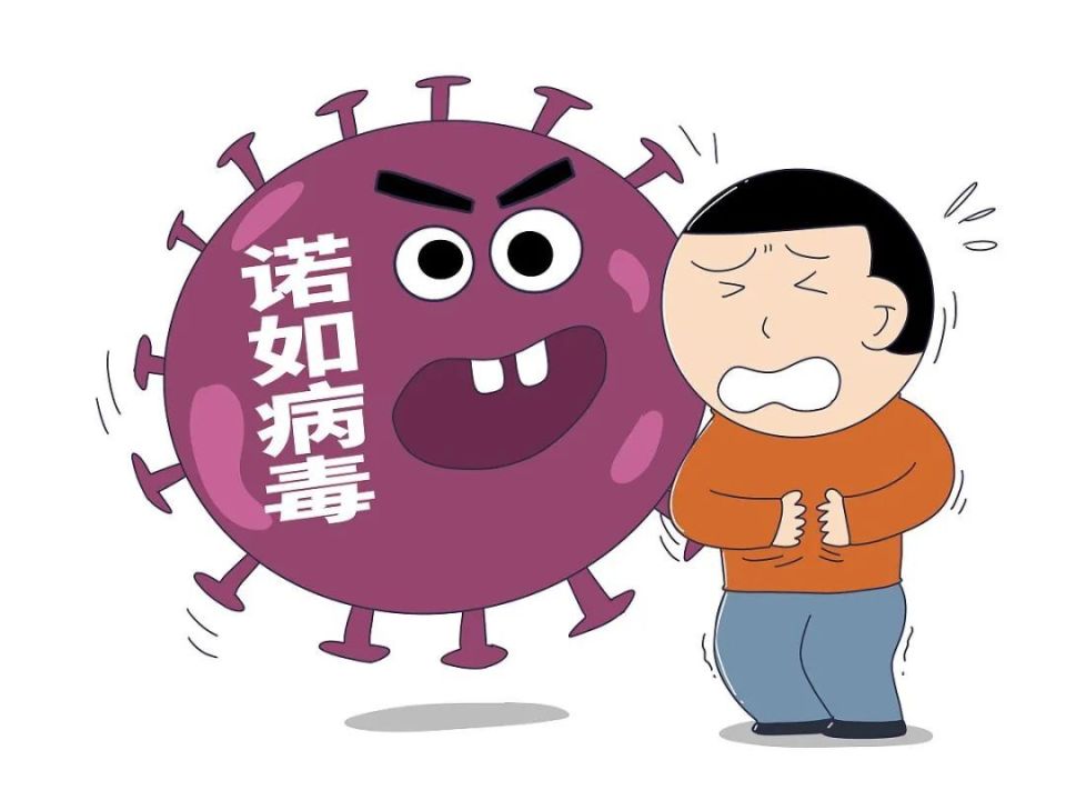 又是诺如病毒感染?