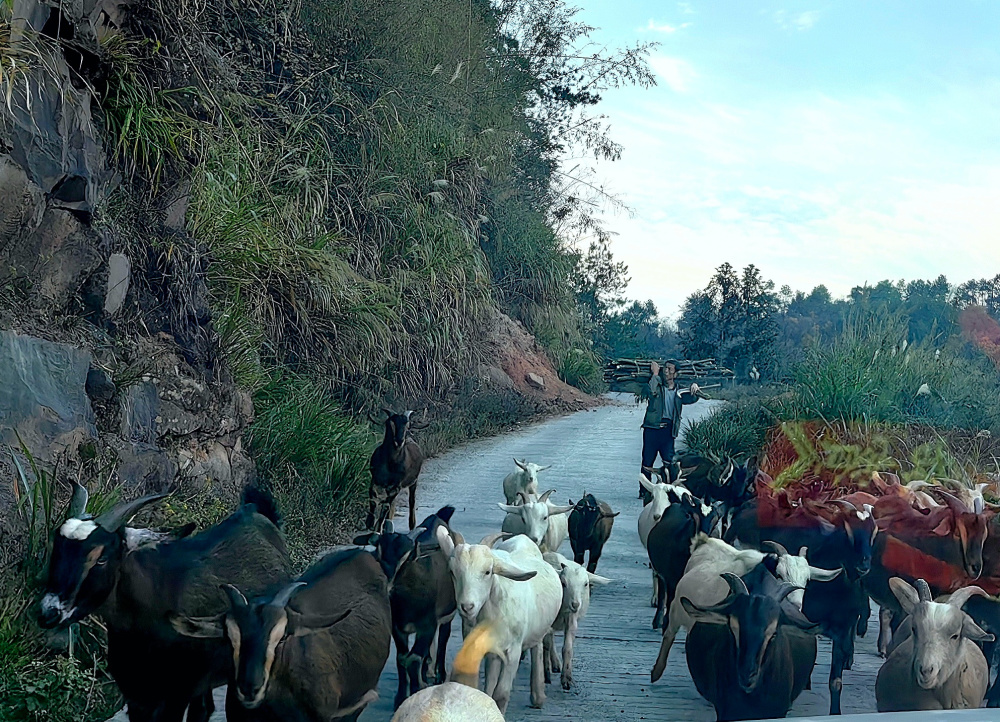 文化中国行丨向午平:窝瓢夜话