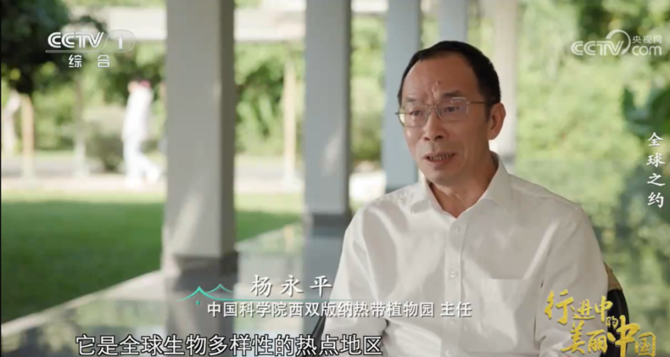 西双版纳生物多样性保护的绿洲 | 行进中的美丽中国