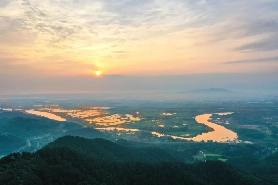敬亭山的云海,茶园,竹林.初夏的绿意浓到化不开