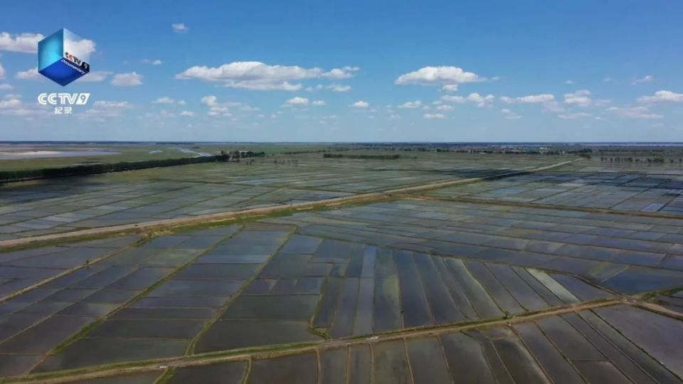 我省拍摄纪录片《家住查干湖》将在中央广播电视总台播出