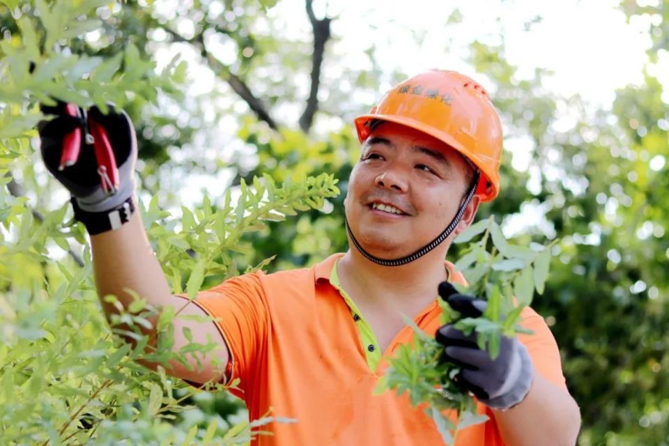 对外经济贸易大学mpacc招生简章_对外经济贸易大学mpacc招生简章_对外经济贸易大学mpacc招生简章