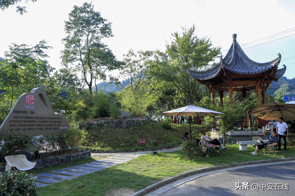 安徽休宁:和美乡村旅游旺