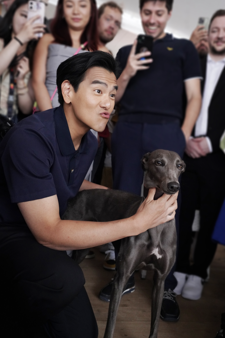 彭于晏《狗阵》黑狗"小辛"获戛纳国际电影节狗狗金棕榈"评委会大奖"