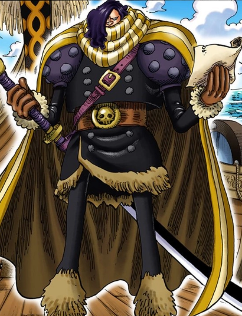 海贼王【新巨兵海贼团】成员信息及童年形象