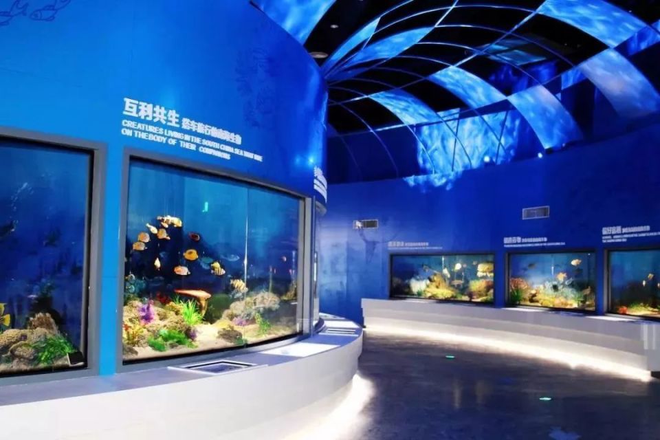 海洋资源的丰富性南海博物馆不仅是研究南海历史文化的重要机构也是向