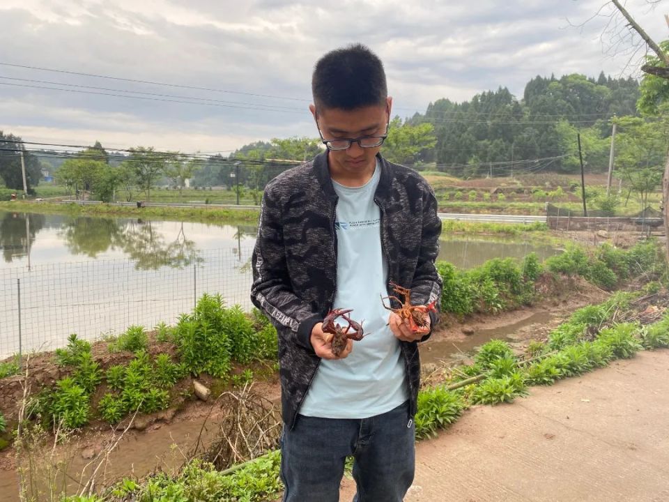 简阳鑫联创稻虾养殖专业合作社 负责人 周鲁:杨良辉口中的老板就是