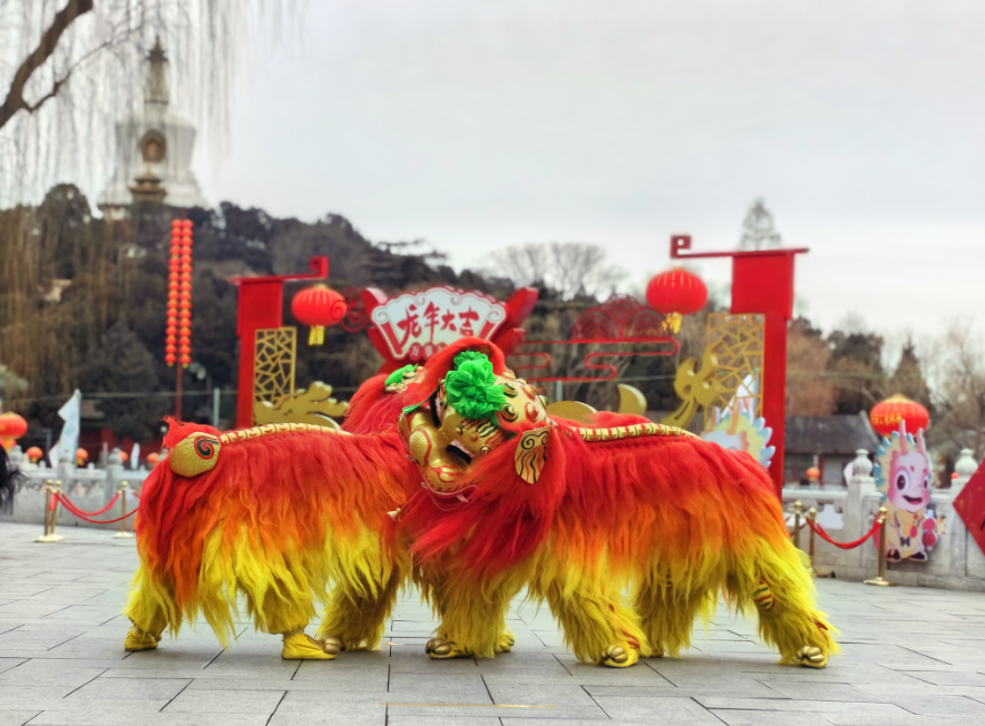 舞龙舞狮是一种非常受欢迎的表演形式,既可以营造喜庆与祥和的气氛